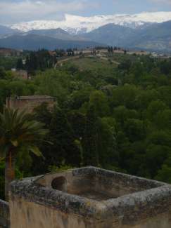 DSC09739.JPG